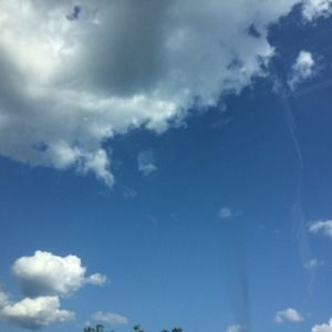 Meet your Posher, Isabella